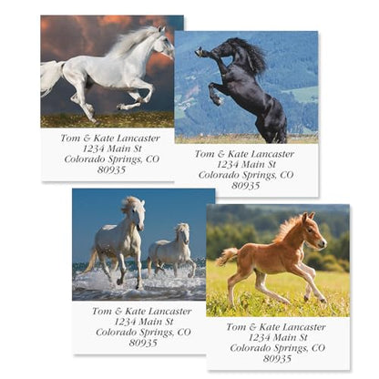 Love Horses Square Return Address Labels (6 Designs) - Set of 144 1-1/8" x 2-1/4" Self-Adhesive, Flat-Sheet Label - style: Love Horses