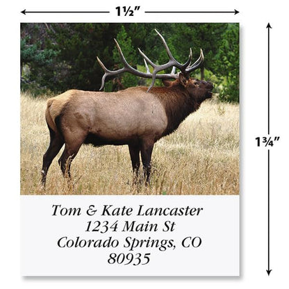 Bugling Elk Square Return Address Labels - Set of 144 1-1/8" x 2-1/4" Self-Adhesive, Flat-Sheet Labels - style: Elk