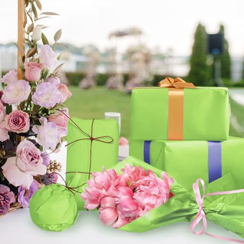 120 Sheets 14 x 20 Inch Lime Green Tissue Paper for Gift Bag - color: Lime Green