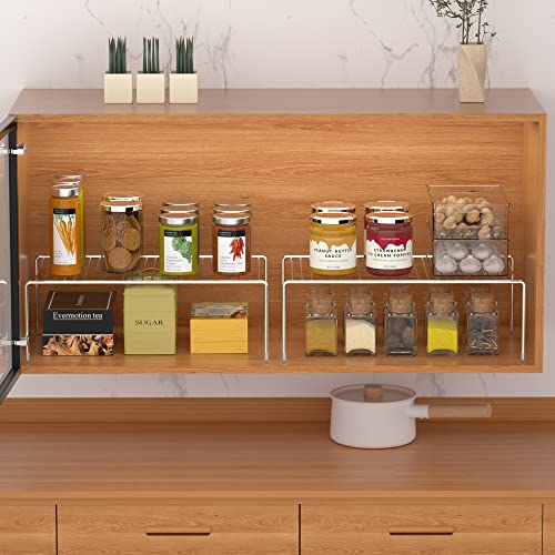 iPEGTOP Large (15.7 x 9.4 Inch) Kitchen Freezer Cabinet Organizer Shelf, Set of 4 Rustproof Metal Wire Shelves Spice Shelf Rack Cupboard Storage for Fridge Pantries Countertops Utensils, Chrome - color: Chrome