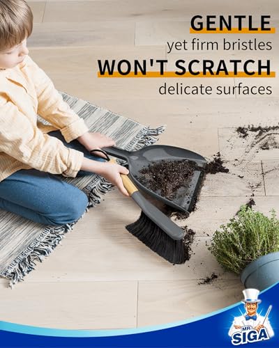 MR.SIGA Dustpan and Brush Set, Bamboo Handle, Gray, 1 Set - color: Gray