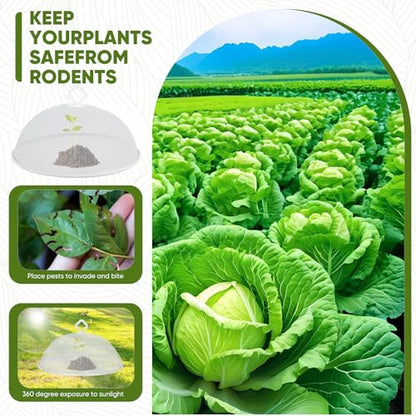 Fruit Fly Proof Fruit Storage Basket, Metal Mesh Fruit Bowl w Lid,White1PCS - color: white/1PCS