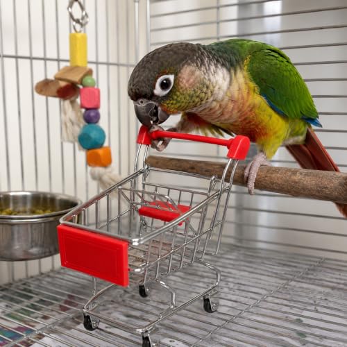 Bonka Bird Toys 2297 Mini Shopping Cart Steel Bird Toy for Small Birds - color: Light Blue