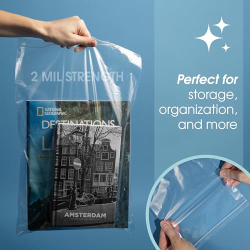 16" X 18" Large Zip Bags (100 Count) - 2 Mil Clear Reclosable - size: 16” X 18”