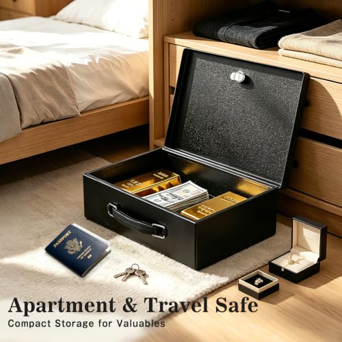 xydled Fireproof Document Box with Key Lock, Fire Safe Box, Black - color: Black, size: Large