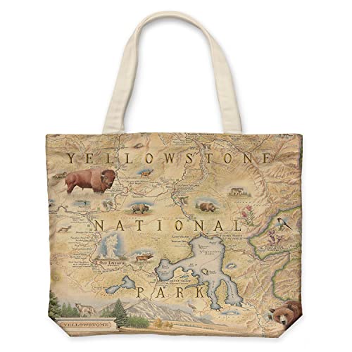 Xplorer Maps Canvas Tote Bag with Handles, Cloth Grocery Shopping Bag, Reusable & Eco-friendly Bag, 100% Cotton, Washable - color: Beige
