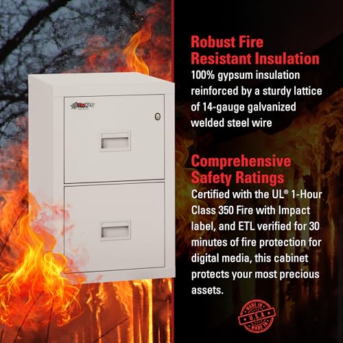 FireKing Turtle Vertical 2 Drawer Fire Rated File Cabinet, Platinum - color: Platinum, size: 2 Drawer