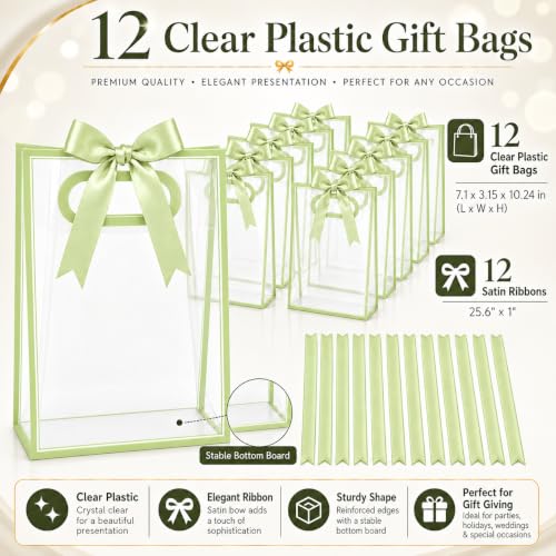 ROVIBIOBIO 12 Pack Clear Gift Bags with Handles, Sage Green - color: Sage Green