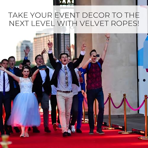 4 PCS Pink Purple Velvet Rope - 5 Ft Barrier for Parties Crowd Crowd Control Ropes Control Hanging Stanchion Rope for Ceremonies Queue Line for Safe - color: Pink Purple