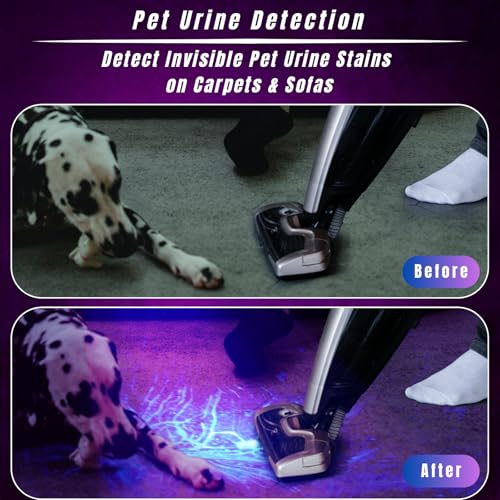 395nm UV Flashlight Adjustable Black Light