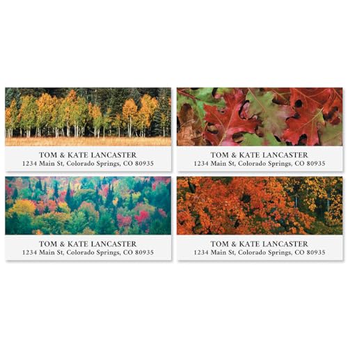 Autumn Colors Self-Adhesive, Flat-Sheet Deluxe Address Labels (24 Designs) Thanksgiving Fall - style: Autumn