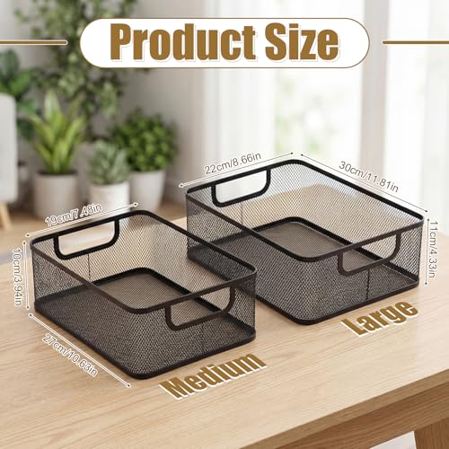 2 Pack Metal Mesh Basket, Large Wire Steel Storage Organizer
