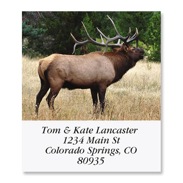 Bugling Elk Square Return Address Labels - Set of 144 1-1/8" x 2-1/4" Self-Adhesive, Flat-Sheet Labels - style: Elk