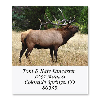 Bugling Elk Square Return Address Labels - Set of 144 1-1/8" x 2-1/4" Self-Adhesive, Flat-Sheet Labels - style: Elk