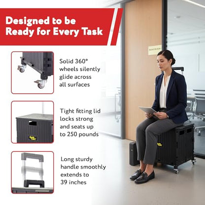dbest Products Quik Cart 360 Collapsible Rolling Crate on Wheels - Black - color: Black, style: 360