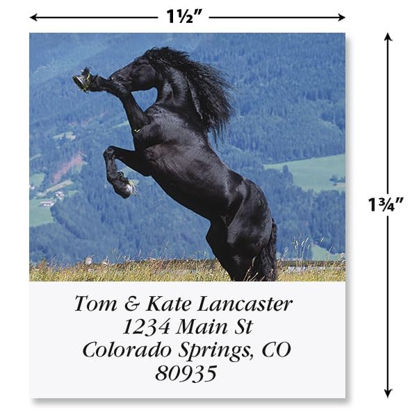 Love Horses Square Return Address Labels (6 Designs) - Set of 144 1-1/8" x 2-1/4" Self-Adhesive, Flat-Sheet Label - style: Love Horses