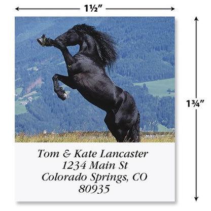 Love Horses Square Return Address Labels (6 Designs) - Set of 144 1-1/8" x 2-1/4" Self-Adhesive, Flat-Sheet Label - style: Love Horses