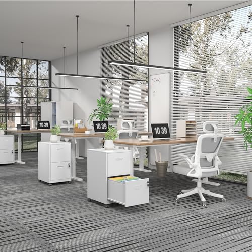 SteeLoong 2 Drawer File Cabinet,Metal Mobile File Cabinet with Lock White - color: White, style: 2 Drawer on Wheels