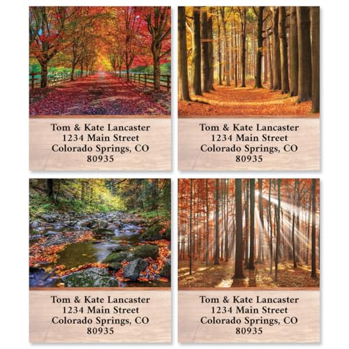 Autumn Brilliance Fall Return Address Labels - Set of 144 1-1/2 by 1-3/4 Inch Self-Adhesive, Flat-Sheet Labels (4 Designs) - style: Autumn Brilliance