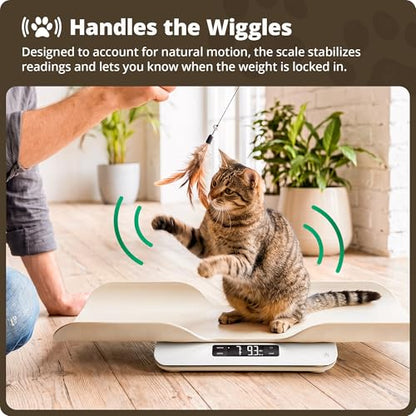 Greater Goods Wiggle-Proof Digital Pet Scale for Cats, Dogs & Small Animals