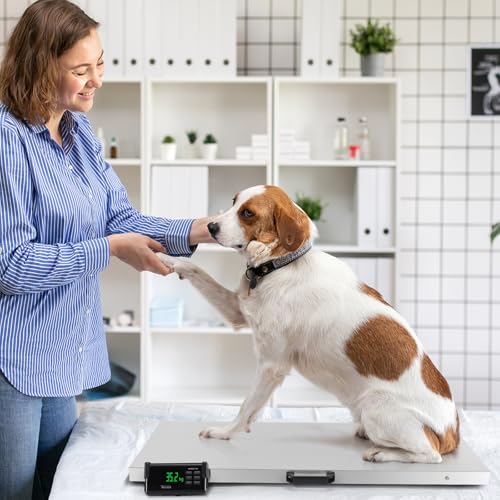 TUFFIOM 1100Lbs x 0.2Lbs Postal Digital Livestock Scale, Electronic Stainless Steel Platform Heavy Duty Vet Animal Scale,Dog Pig Goat Sheep Scale, Silvery