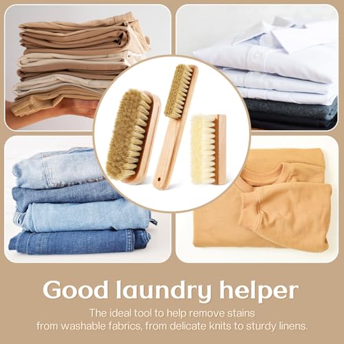 3 Pcs Wood Laundry Stain Brush Stain Remover Brushes with Boar Bristle Small Stain Brush for Clothes for Scrubbing Stains from Furniture Fabric Leather(3 Pcs F) - style: 3 Pcs F