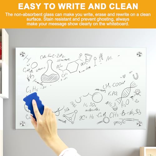H-Qprobd Glass Magnetic Dry Erase Whiteboard 36"x24" for Wall, Frameless White Board, Includes 12 Magnets, 8 Markers and 2 Erasers - size: Glass 36"x24"