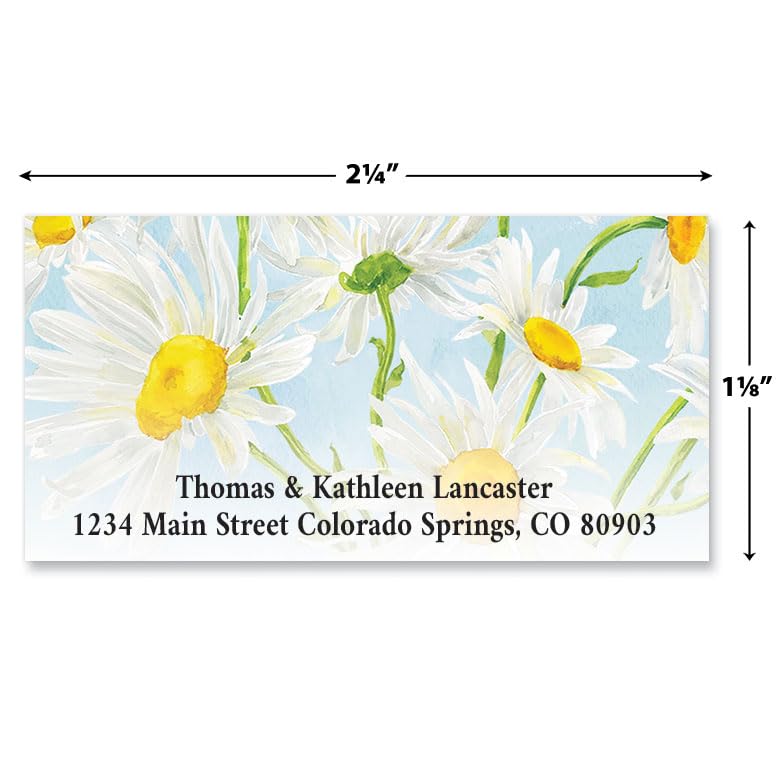 Fields of Daisies Personalized Deluxe Address Labels - Set of 144, Self-Adhesive, Large Flat-Sheet Deluxe Labels - color: Fields of Daisies