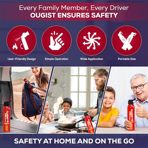 Fire Extinguisher Spray for Vehicle & Home 620ml 2 Count, Car Fire Extinquishers, Prevent Re-lgnition, Best Suitable for Kitchen,The House Car Truck Boat Water-Based Mini Fire Extinguishers - size: 2PCS