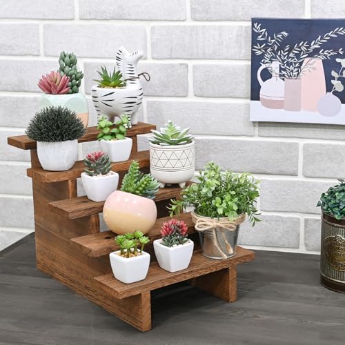 Ikee Design 5-Tier Wooden Display Stand for Plants & Collectibles