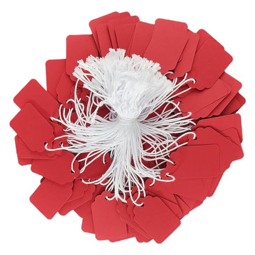 600 Pcs 1.38'' x 0.87'' Red Blank Jewelry Price Tags with String Attached Retail Paper Gift and Sale Hang Tag Handwritten Price Display Lables for Pricing Clothes Necklace & Merchandise - color: Red, size: 1.38x0.87 inches-600P