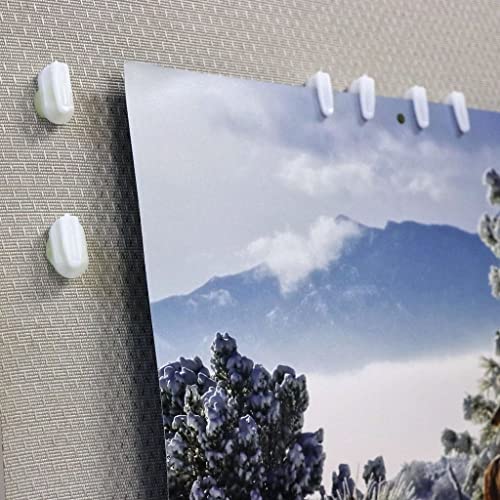 Stikki Works White Clips 20 per Pack Teacher Classroom Aid,(Pack of 2) - size: Standard (Pack of 2)