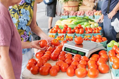Price Computing Scale 66lb Digital Commercial Produce Scale - color: Stainless Steel Scale Pan-Large Size