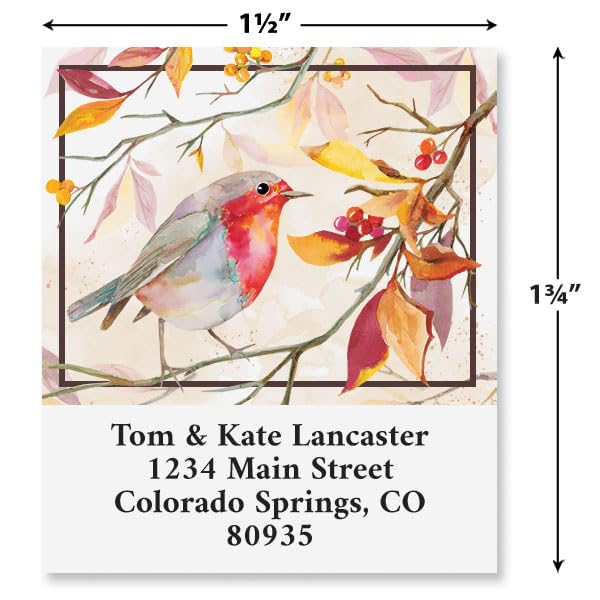 Colorful Images Friendly Robin Personalized Deluxe Address Labels - Set of 144 (4 Designs), Self-Adhesive, Large Flat-Sheet Select Labels - color: Robin