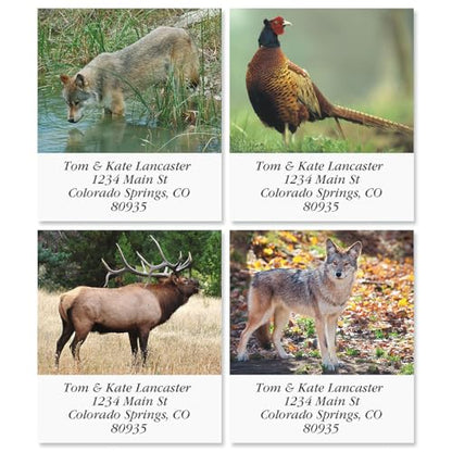 North American Wildlife Square Return Address Labels (12 Designs) - Set of 144 1-1/8" x 2-1/4" Self-Adhesive, Flat-Sheet Label - style: Wildlife Square