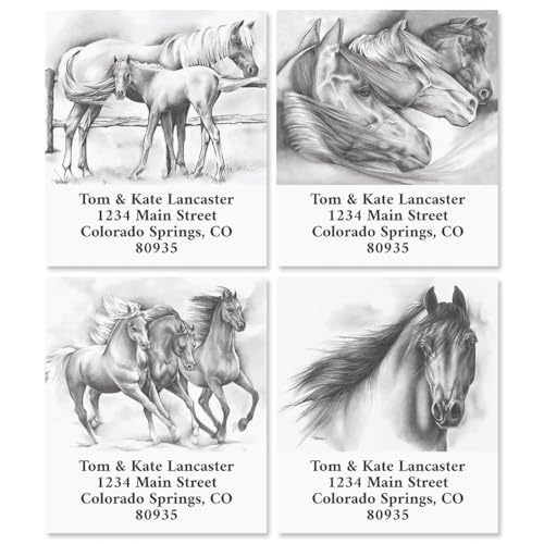 Black and White Horse Square Return Address Labels (4 Designs) - Set of 144 1-1/8" x 2-1/4" Self-Adhesive, Flat-Sheet Label - style: Black & White