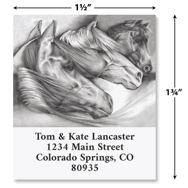 Black and White Horse Square Return Address Labels (4 Designs) - Set of 144 1-1/8" x 2-1/4" Self-Adhesive, Flat-Sheet Label - style: Black & White
