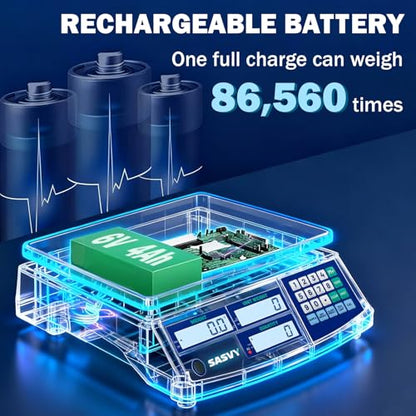 Counting Scale (66lb/30kg, 0.1g) lb/oz/kg/g Industrial Digital Inventory Scale with Battery for Small Parts, Coins, Pieces, Tickets - size: 30kg 0.1g with oz