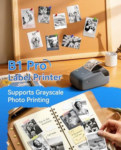 NIIMBOT B1Pro Label Maker, 300DPI HD Label Printer with 3 Roll Label, Blue - color: Blue Set