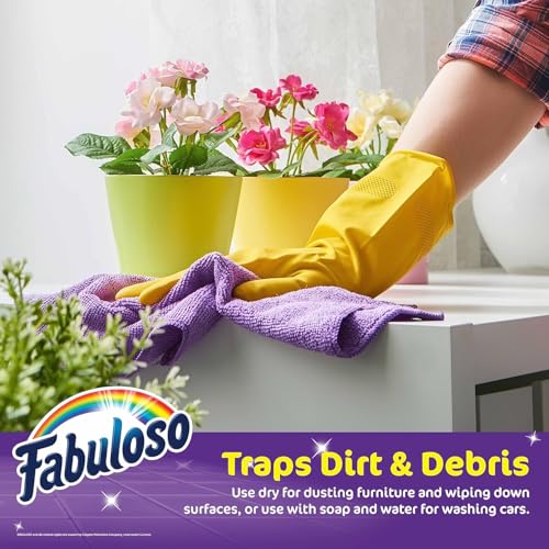 Fabuloso Microfiber Cleaning Cloths for Home & Car, 13x13, 8 Ct, 2-Pack - color: Rainbow, size: 8 Count (Pack of 2)