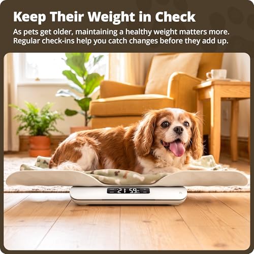 Greater Goods Wiggle-Proof Digital Pet Scale for Cats, Dogs & Small Animals