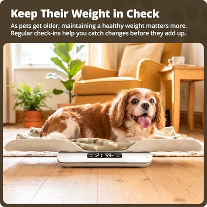 Greater Goods Wiggle-Proof Digital Pet Scale for Cats, Dogs & Small Animals