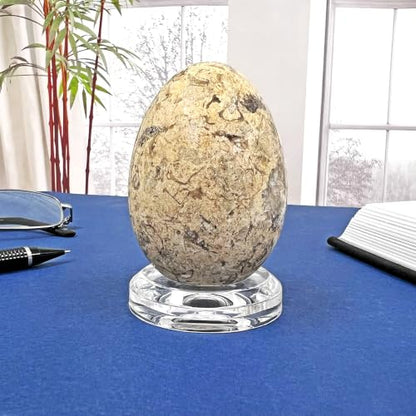 Plymor 2" W x 2" D Clear Round Egg/Sphere Base (1.1875" Hole) (2 Pack) - size: 2" x 2" x 0.5"
