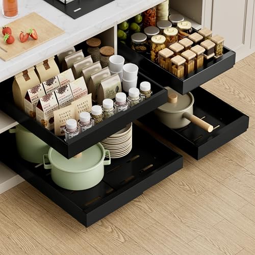 PAKETA 4 Pack Expandable Pull Out Cabinet Organizer,21" Deep - color: Black, size: 21"D X 9-14"W (4 Pack)