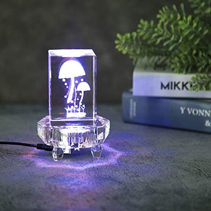 IFOLAINA Crystal LED Light Base for 3D Glass Art Lighted Display Stand - color: O-Clear-Multicolor