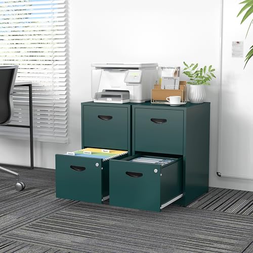 SteeLoong 2 Drawer File Cabinet,Metal Office File Cabinet with Lock,Green - color: Green, style: 2 Drawer Light Duty