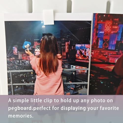 PIAOLGYI Photo Clip for IKEA Skadis Pegboard,Clip Holder Compatible with The IKEA Pegboard (10 Pack)
