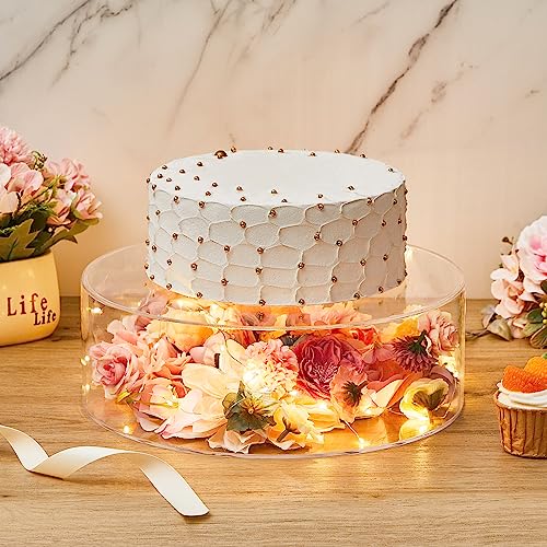 Sunnyray 2 Pcs Acrylic Cake Stands for Dessert Table Clear Fillable Cake Riser Cupcake Tier with LED Strings for Birthday Wedding Holiday Party Display(10", 14") - size: 10", 14"