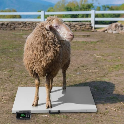 TUFFIOM 1100Lbs x 0.2Lbs Postal Digital Livestock Scale, Electronic Stainless Steel Platform Heavy Duty Vet Animal Scale,Dog Pig Goat Sheep Scale, Silvery