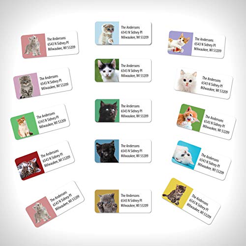 Customized Personalized Address Labels - Made in The USA by Kenco (250 Labels, Kittens) - color: Kittens, size: 250 Labels